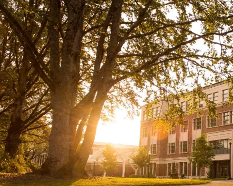 Corvallis campus tree and building