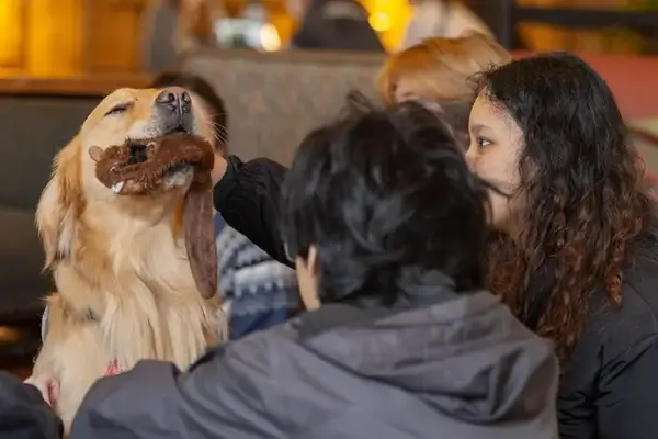 A dog with a toy and three students