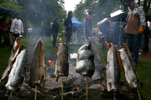 Salmon on wooden stakes roasting over an open fire in an outdoor setting.