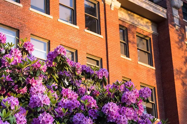 flowers in front of brick building