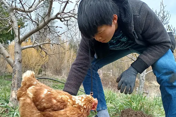 student petting chicken in Ashland during Alt Break